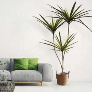 Artificial Dracaena Palm – 90–120cm Lifelike Tropical Décor